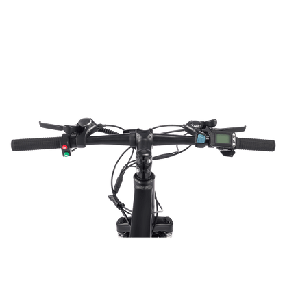 Vélo électrique de montagne Viribus Panther