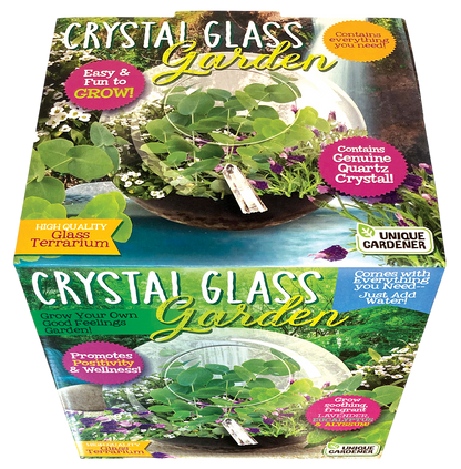 Crystal Glass Garden Seed Starting Terrarium