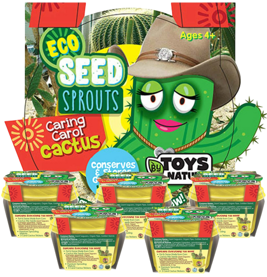 Eco Seed Sprouts Cactus Carol la Plante - Lot de 5