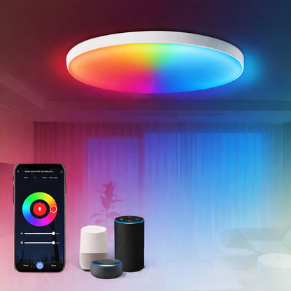 Smart WiFi RGB Ceiling Light 24W App Control Alexa Google Home Bedroom Lamp