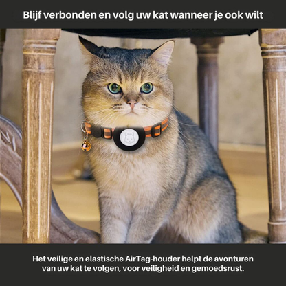 Reflective Cat Collar with GPS Tracker Holder Breakaway Safety Collar