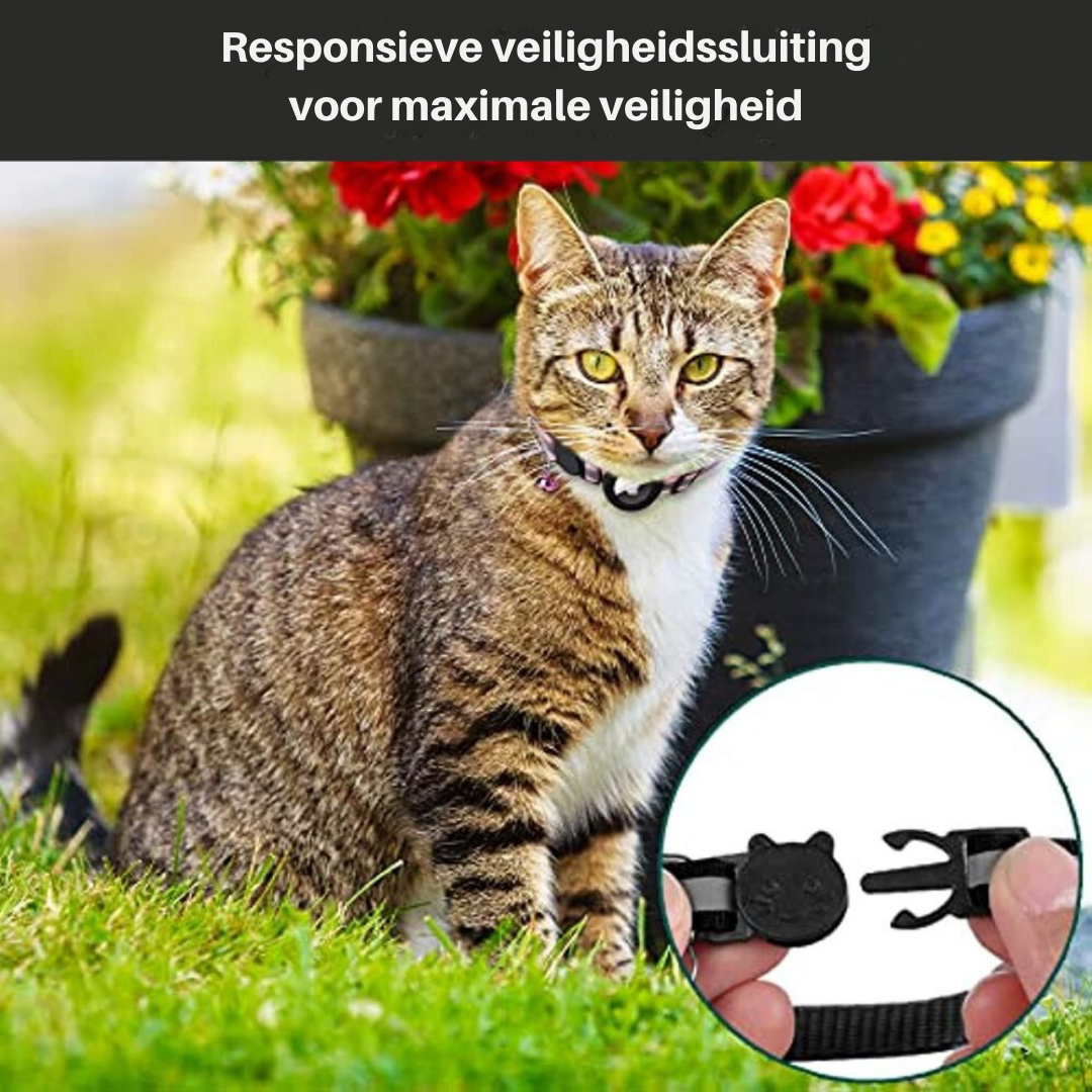 Reflective Cat Collar with GPS Tracker Holder Breakaway Safety Collar