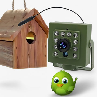 1080P HD Wildlife Camera Bird Watching WiFi Outdoor IP66 Night Vision Camera