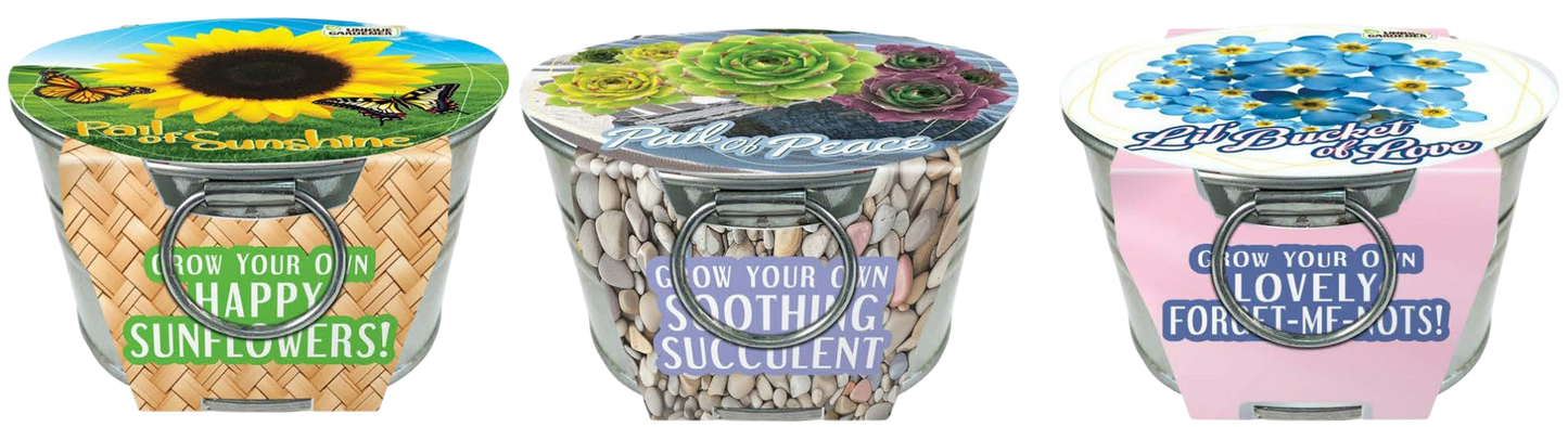 Flowering Tin Garden Paquete Surtido - 1 unidad de 3 variedades