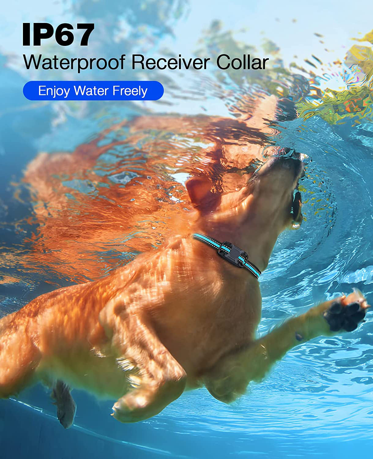 NovaPace Remote Dog Training Collar 1000m Waterproof Rechargeable