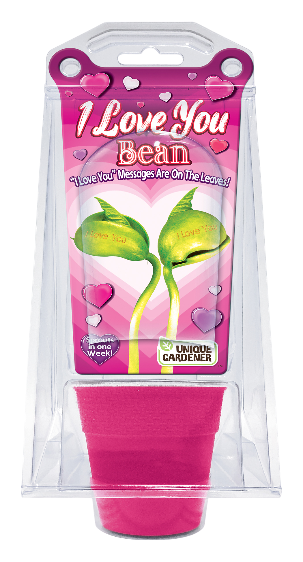 "I Love You" Bean Terrarium – Grow a Message of Love