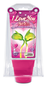 "I Love You" Bean Terrarium – Grow a Message of Love