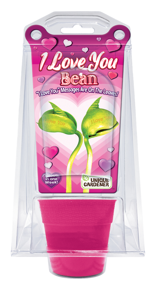 "I Love You" Bean Terrarium – Grow a Message of Love