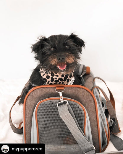 Sac de transport pour animaux de compagnie de taille standard, homologué pour les compagnies aériennes, série Or, par Mr. Peanut