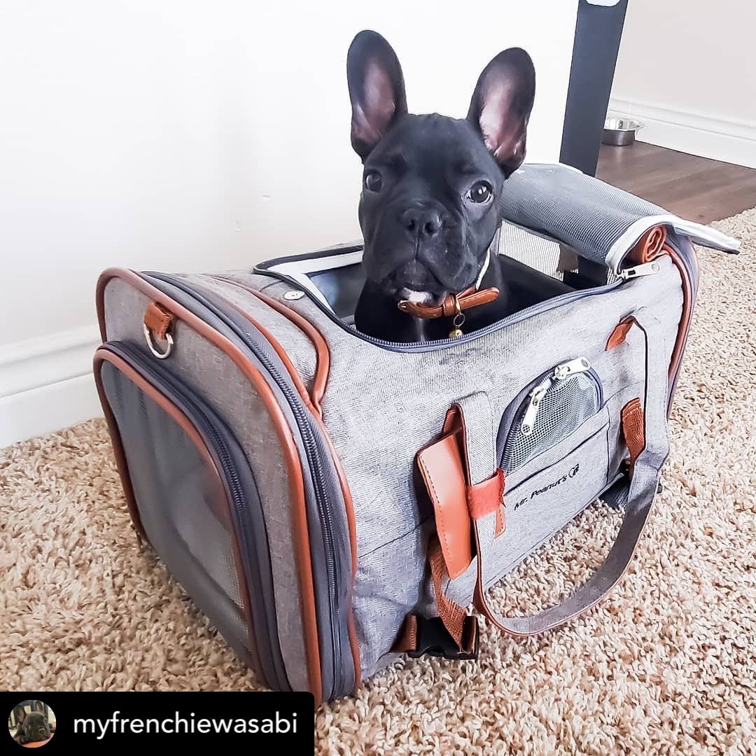 Sac de transport pour animaux de compagnie de taille standard, homologué pour les compagnies aériennes, série Or, par Mr. Peanut