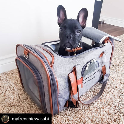 Sac de transport pour animaux de compagnie de taille standard, homologué pour les compagnies aériennes, série Or, par Mr. Peanut