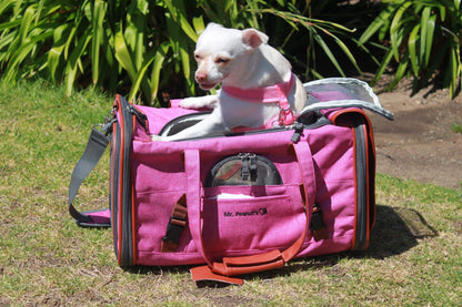 Sac de transport pour animaux de compagnie de taille standard, homologué pour les compagnies aériennes, série Or, par Mr. Peanut