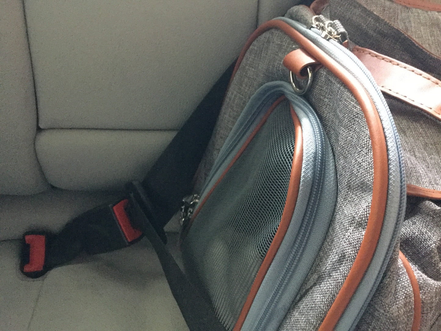 Sac de transport pour animaux de compagnie de taille standard, homologué pour les compagnies aériennes, série Or, par Mr. Peanut