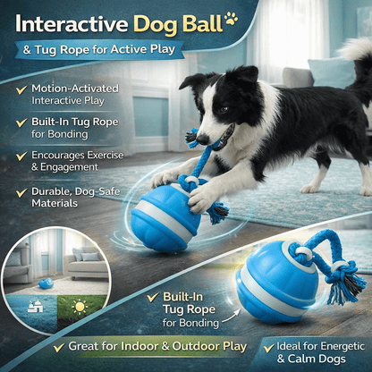 Interactive Dog Toy Motion Sensor Ball with Tug Rope Active Play Toy