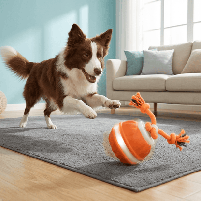 Interactive Dog Toy Motion Sensor Ball with Tug Rope Active Play Toy