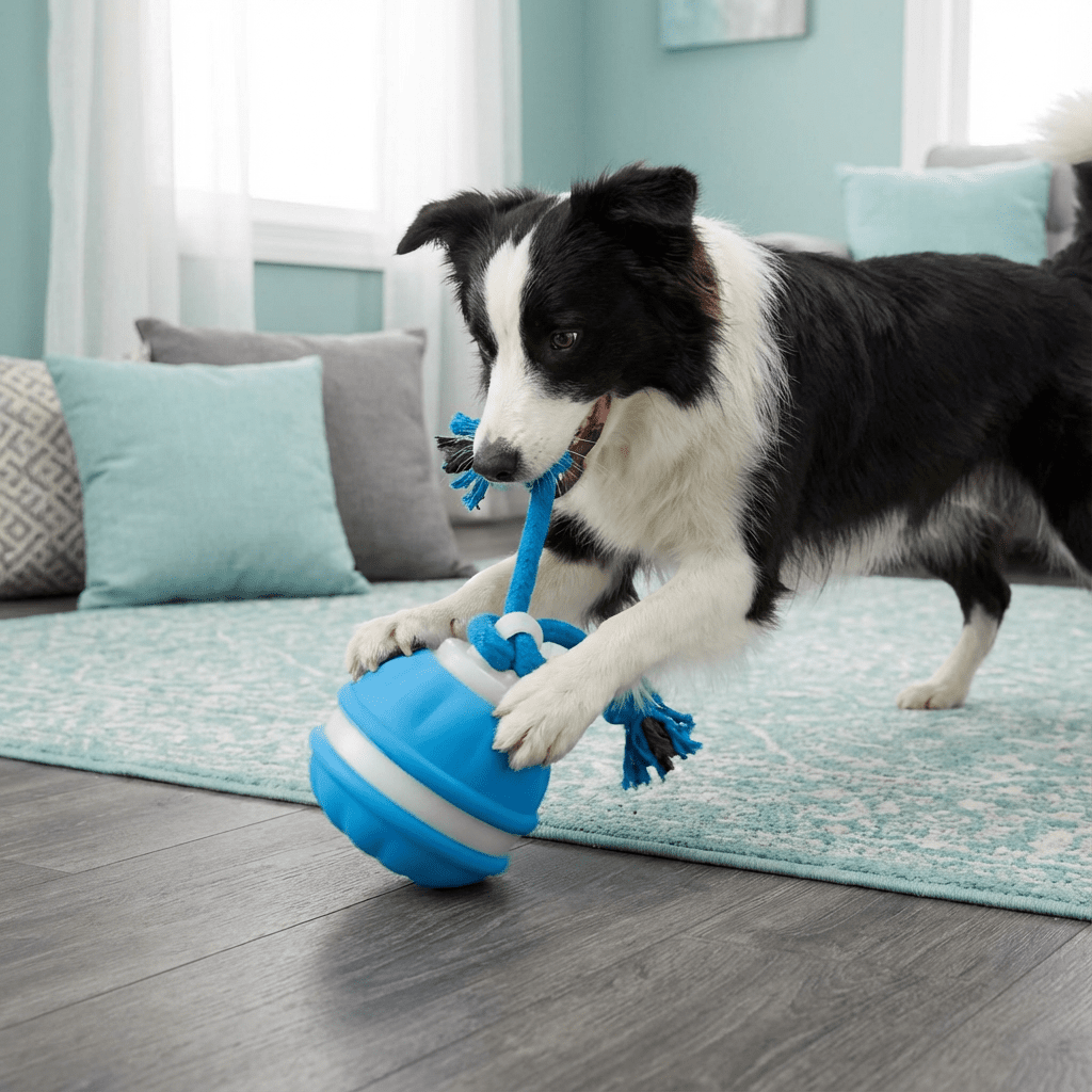 Interactive Dog Toy Motion Sensor Ball with Tug Rope Active Play Toy