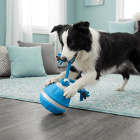 Interactive Dog Toy Motion Sensor Ball with Tug Rope Active Play Toy