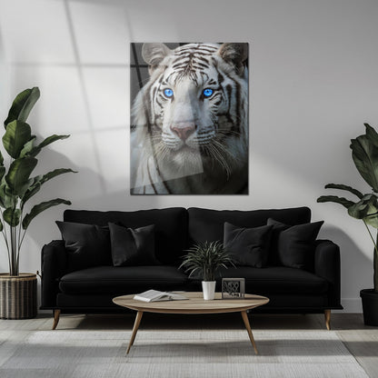 Art mural en verre Tigre blanc aux yeux bleus – Portrait saisissant d'une faune majestueuse au regard perçant-KAFCD016