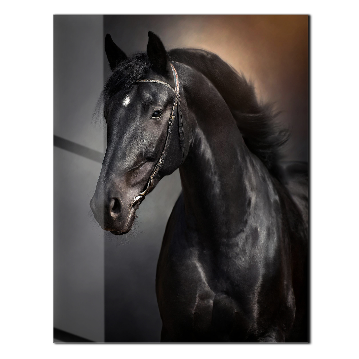 Tableau mural en verre UV portrait élégant de cheval noir – Design équestre majestueux-KAFCD065