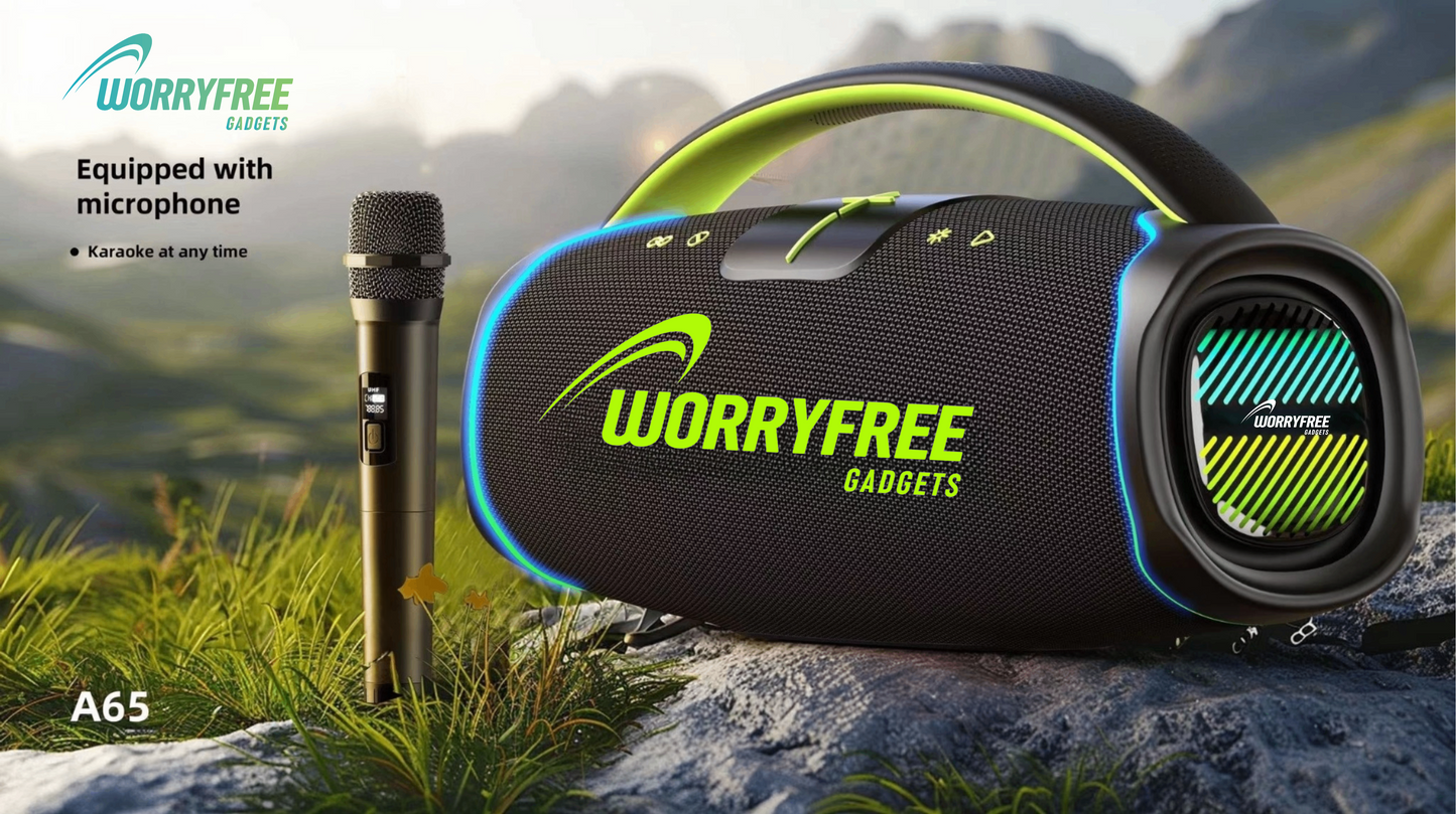 300W Portable Bluetooth Speaker with Handle, One Microphone