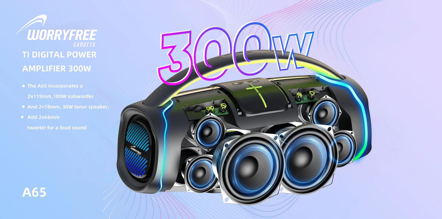 300W Portable Bluetooth Speaker with Handle, One Microphone
