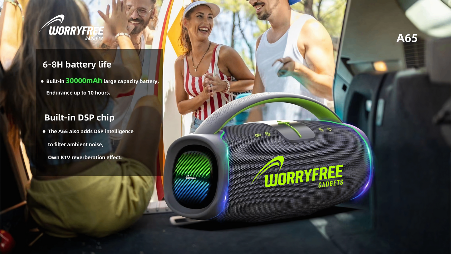 300W Portable Bluetooth Speaker with Handle, One Microphone
