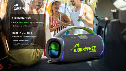 300W Portable Bluetooth Speaker with Handle, One Microphone