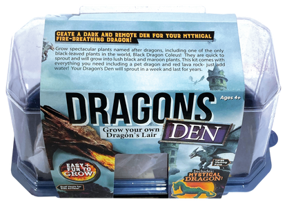 Dragons Den Mini World Terrarium