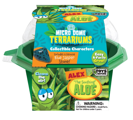 'The Soothing' Aloe Micro Dome Terrarium