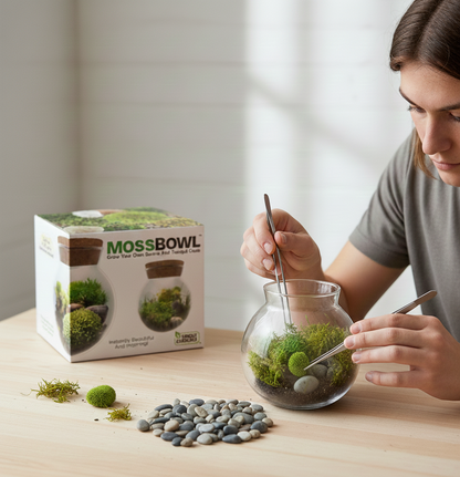 MossBowl- Grow Your Own Beautiful Moss Garden, Complete Kit Come with 3 Mosses!