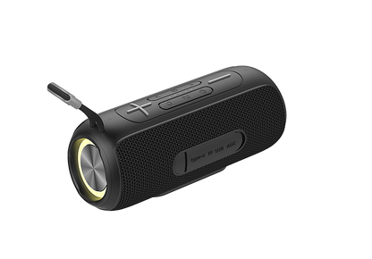 10W Wireless Portable Waterproof Bluetooth Speaker with RGB Lights- Assorted