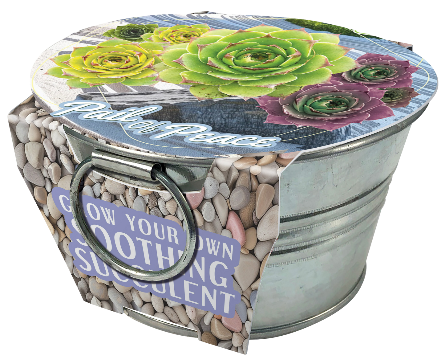 Flowering Tin Garden Paquete Surtido - 1 unidad de 3 variedades