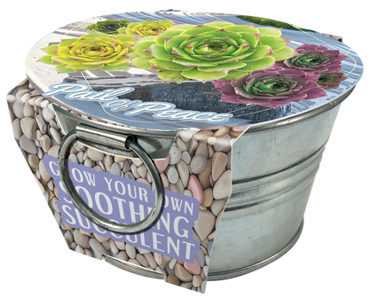 Flowering Tin Garden Paquete Surtido - 1 unidad de 3 variedades