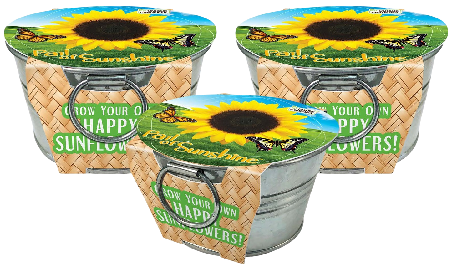 Un seau de soleil – Cultivez vos propres tournesols (lot de 3)