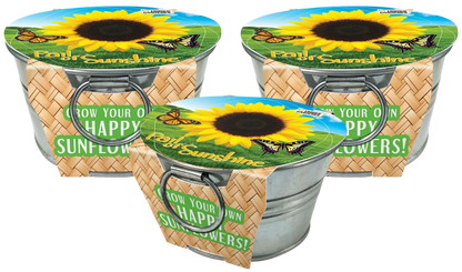 Un seau de soleil – Cultivez vos propres tournesols (lot de 3)