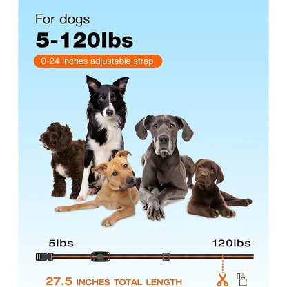Collar de adiestramiento para perros a distancia NovaPace 1000m impermeable y recargable