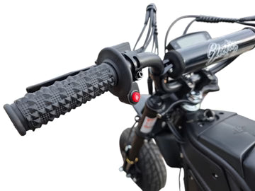 The Rizzler Bike