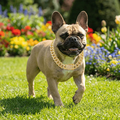 Gold Tone Stainless Steel Cuban Chain Dog Collar | Diamond Inlaid Hip Hop Pet Jewelry