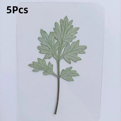 15Pcs Lucky Simulation Four-Leaf Clover Postcards Shamrock Stems Transparent Wishing Cards Ideal for Bookmarks & Decorations