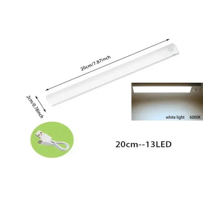 PIR Motion Sensor Rechargeable LED Night Light | Dimmable Magnetic Lamp for Closet Stairs Bar