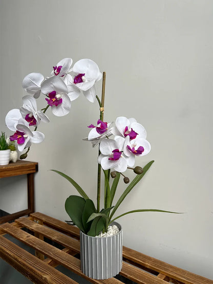 Phalaenopsis Potted Bonsai Fake Flower With Leaf Potted Plant Fake Orchid Flower Arrangement Living Room Indoor Decoration