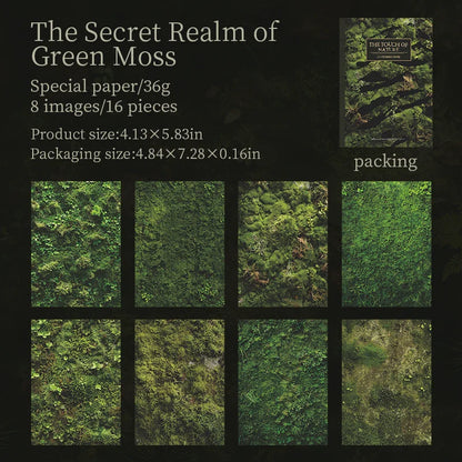 16 Sheets Nature Green Moss Theme Specialty Paper | Scrapbooking and Card Making Paper Pack