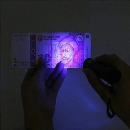 Portable UV Flashlight 365-395nm | Black Light Ultraviolet Torch for Pet Urine Detection