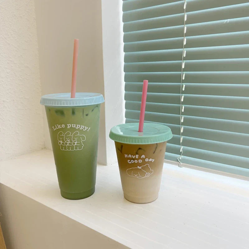 Cute Reusable Plastic Water Bottle with Straw | Portable Cold Cup for Coffee, Juice, & Milk Tea