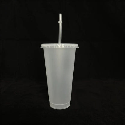 710ml Color Changing Straw Mug | Insulated Reusable Plastic Cup with Lid