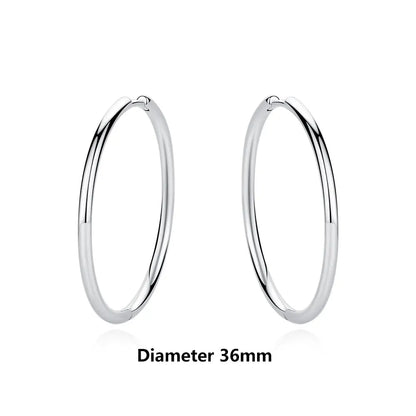 925 Sterling Silver Earrings