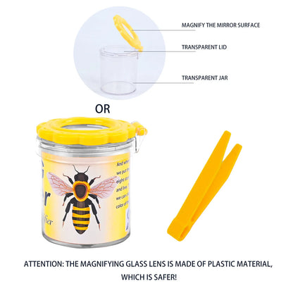 Children's Insect Observation Box | Outdoor Exploration Kit