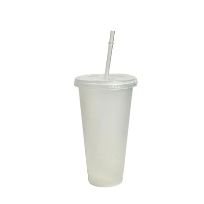 710ml Color Changing Straw Mug | Insulated Reusable Plastic Cup with Lid