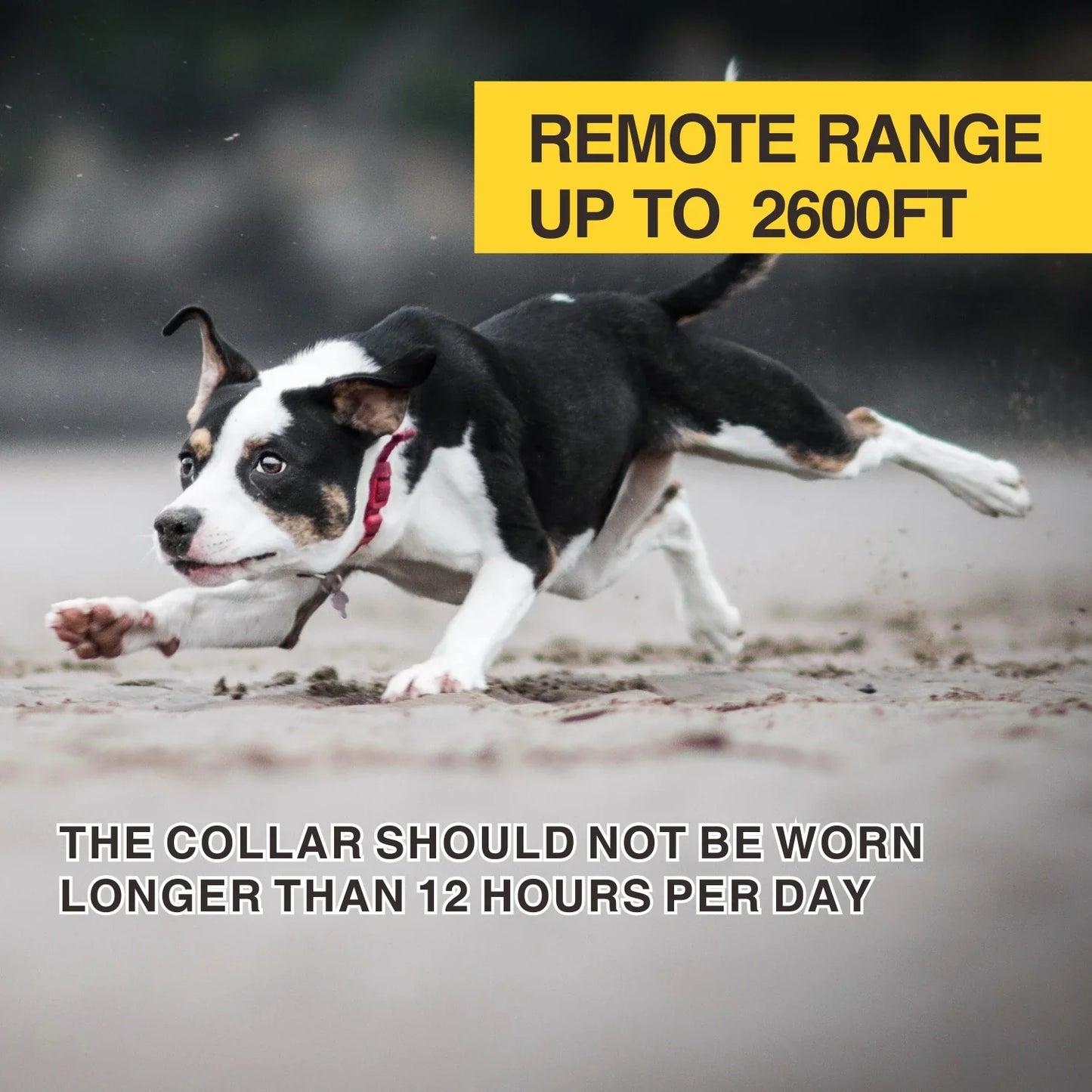 Dog Training Collar 800M Remote Waterproof Rechargeable No Bark Control Collar 2in1