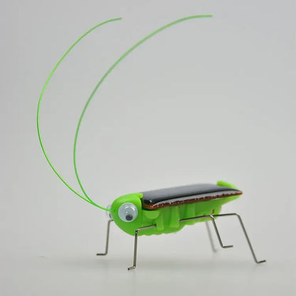 Solar Powered Grasshopper Toy | STEM Science Education Wooden Puzzle Kit
